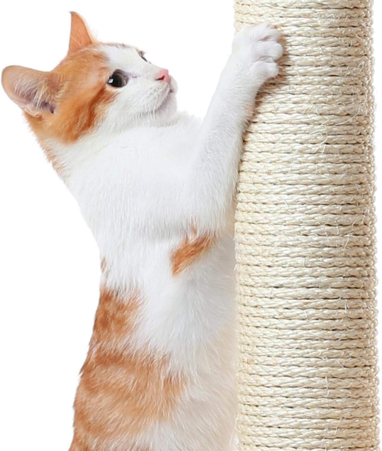 Yaheetech XXL Cat Scratching Post 175 cm Ceiling Height Scratching Post for Large Cats, Stable Climbing Tree with Sisal Scratching Columns, Platforms, Basket, Hammock, Plush Ball, Dark Grey